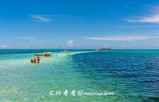 首届温岭东海年货节以“溯源”打开“新消费潮”!