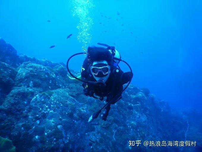 逃离泰莱森林
