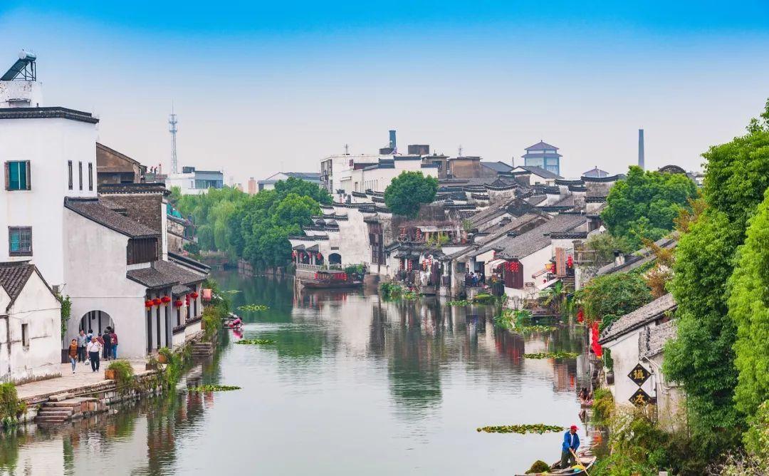 拯救蝙蝠家族